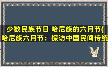 少数民族节日 哈尼族的六月节(哈尼族六月节：探访中国民间传统节日)